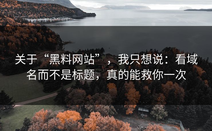 关于“黑料网站”，我只想说：看域名而不是标题，真的能救你一次