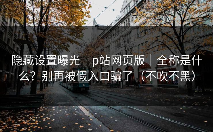 隐藏设置曝光｜p站网页版｜全称是什么？别再被假入口骗了（不吹不黑）